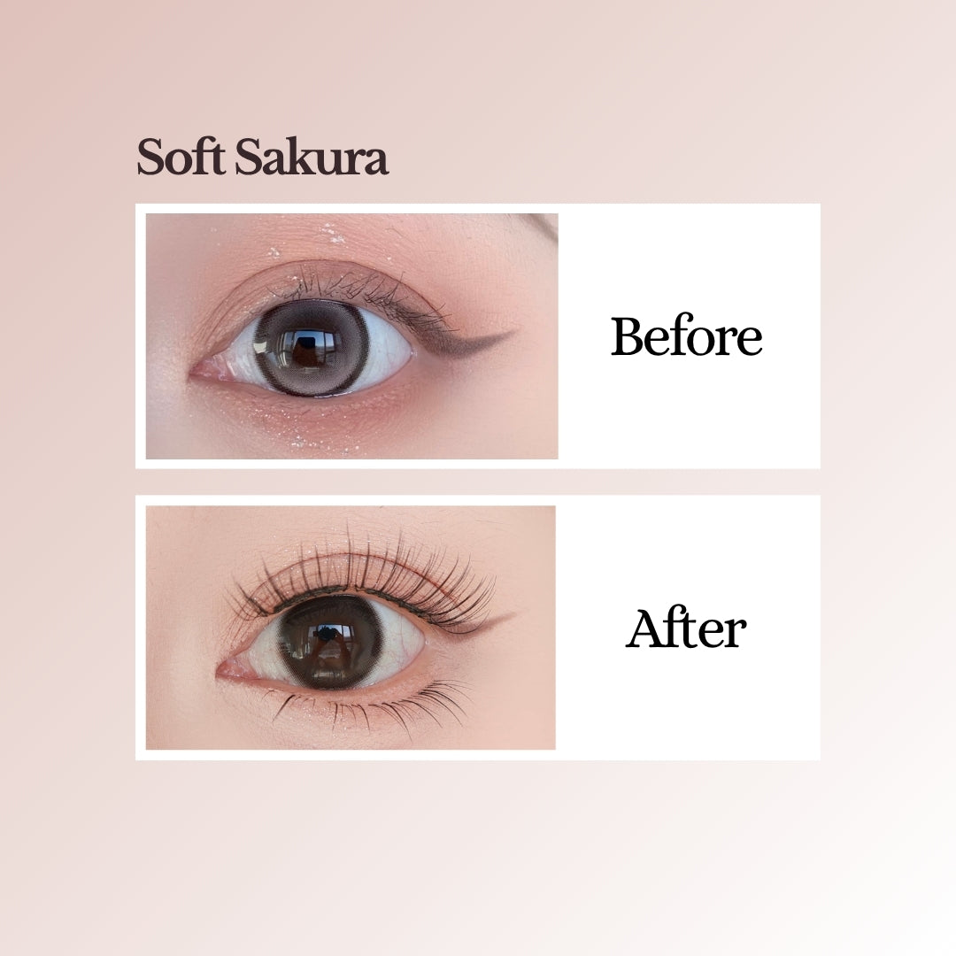 EviShine Magnetic Eyelashes
