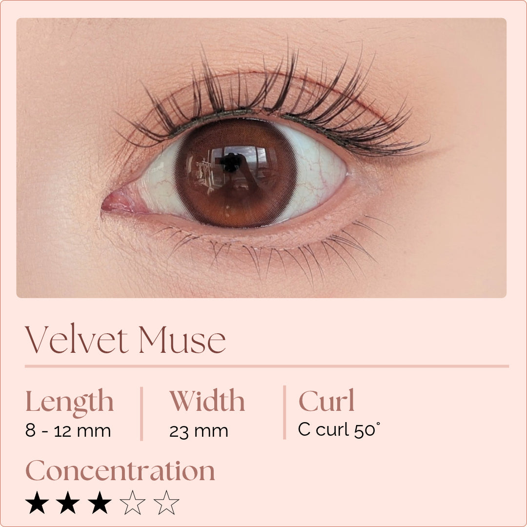 EviShine Velvet Muse magnetic eyelashes with lash style, length, curl and concentration details
